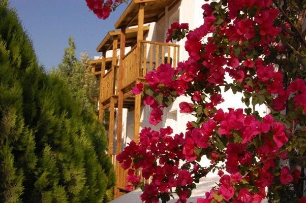Medisun Hotel Ortakent Exterior foto